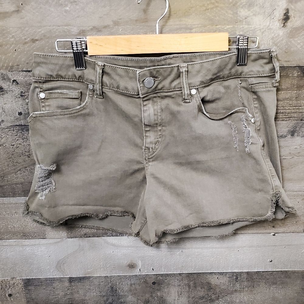 Level 99 distressed shorts 29